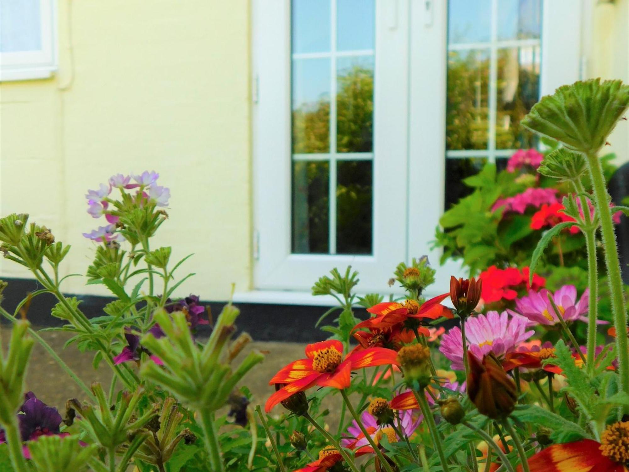 Greenbank Cottage Hilgay المظهر الخارجي الصورة
